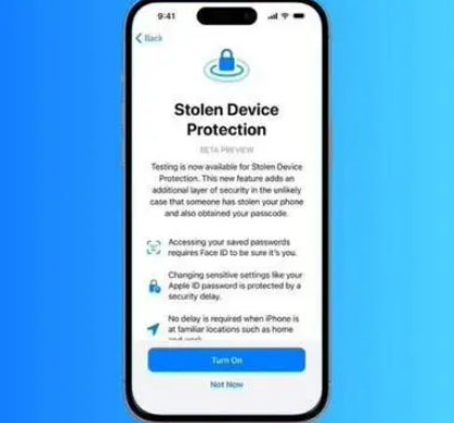 水城苹果授权维修店分享被盗设备保护功能开启方法 