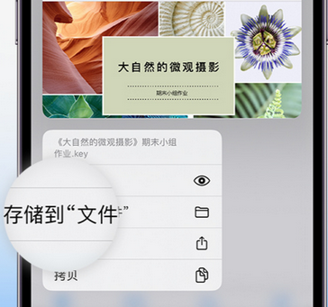 水城apple维修中心分享iPhone文件应用中存储和找到下载文件