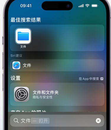 水城apple维修中心分享iPhone文件应用中存储和找到下载文件 