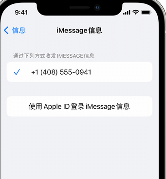 水城apple维修iPhone上无法正常发送iMessage信息 