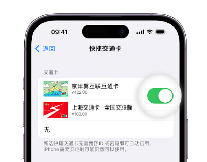 水城apple维修点分享iPhone上更换Apple Pay快捷交通卡手绘卡面 