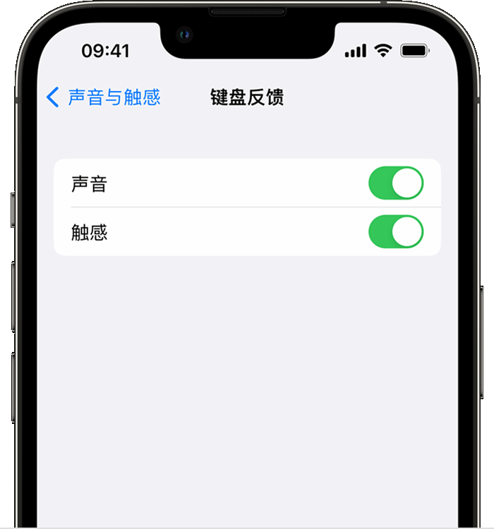 水城苹果14维修店分享如何在 iPhone 14 机型中使用触感键盘 