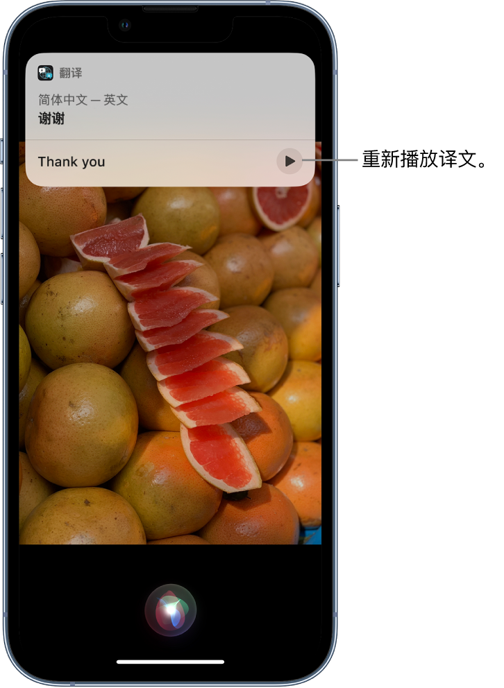 水城苹果14维修分享 iPhone 14 机型中使用 Siri：了解 Siri 能帮你做什么 