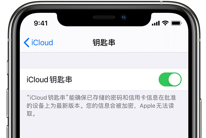 水城苹果手机维修分享在 iPhone 上开启 iCloud 钥匙串之后会储存哪些信息 